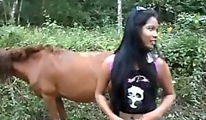 Horse adventures