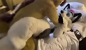 Cute Fursuit bottom moans cutely for top 2