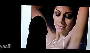 Bollywood actress shilpa shetty cock tributed