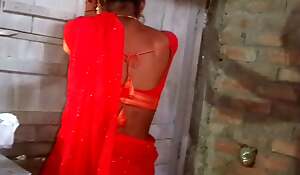 Desi Husband and Wife Sex in Hindi Video