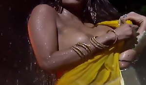 Poonam Pandey Nude Well forth Dance
