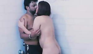 Indian desi aunty having sex with a young impoverish